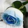 Artificial flowers "Vivaldi Rosa" D-7 50 cm, blue and blue