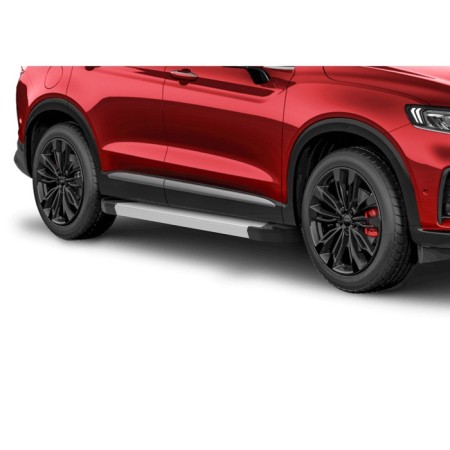 Thresholds "Silver" Rival for Geely Tugella i 2020-5