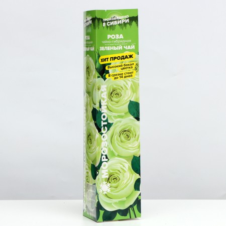 Rose green tea, spring 2024, 1 pc.
