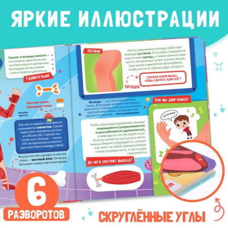 Book with windows "How does my body arrange?", 55 windows, encyclopedia-4