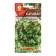 Caravay salad seeds, leaf, 0.5 g