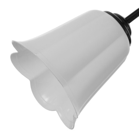 Cauces "Bouquet" 3x15W E27 Model: BR 00227 Black/White-6
