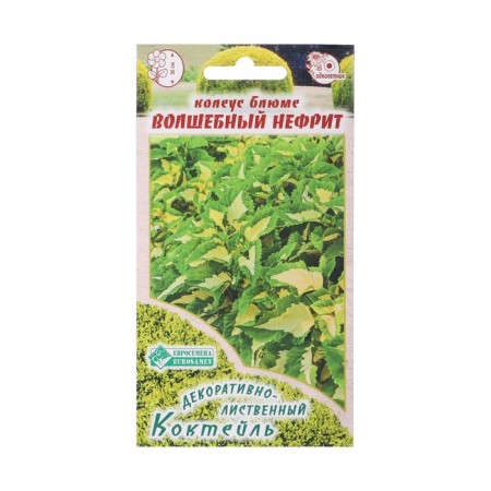 Seeds Koleus Bluma "Magic Jade", 10 pcs