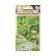 Seeds Koleus Bluma "Magic Jade", 10 pcs