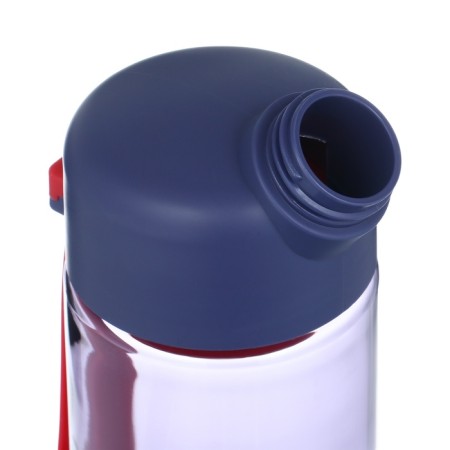 Water bottle, 550 ml, 22.5 x 6.7 cm, sieve, purple-1