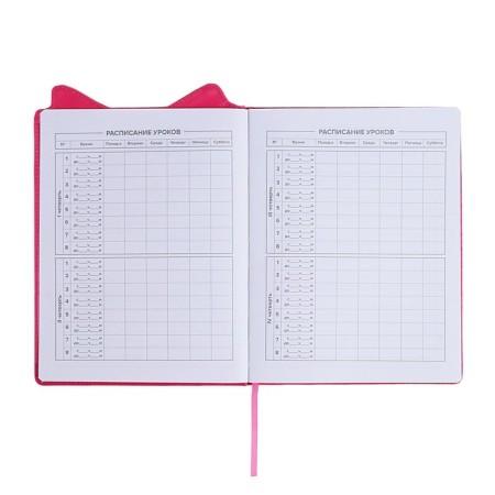 School diary for grades 1-11, boss spitz, firm covered with foam, artificial leather, curly cutting, liesse, universal cheat sheet, 48 sheets, block 80g/m2-5