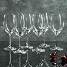 Set of glasses for the wine 