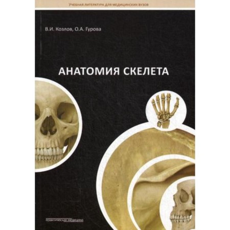 Skeleton anatomy: Textbook. Kozlov V.I.