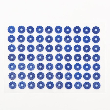The Kuznetsova applicator, 70 spines, spanbond, 23 x 32 cm, blue.-1