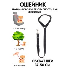 Leash with a universal penalment, width 2.5 cm, black