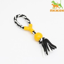 Toy Cable training with a pen and ball, up to 125 g, up to 31 cm, black and yellow series