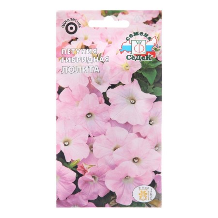 Flowers of Petunia "Lolita", Euro, 10 pcs