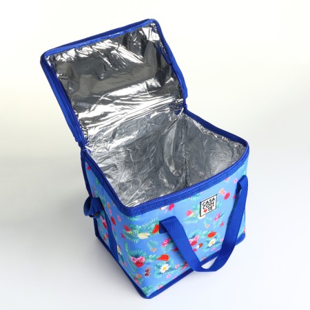 Thermal -mosa with a zipper, external pocket, 13 l, blue color-2