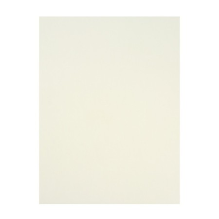A3, 297 x 420 mm pastel folder, 20 sheets, tinted paper, ivory, Goznak "Shell", block 200 g/m²-6