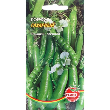 Seed peas "Sugar", 5 g