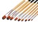 A set of brushes nylon, 9 pieces, rounded, with long handles
