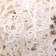 Artificial moss "white" 10 g