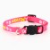 Collar for cats with Fasteks "Glamur", 30 x 1 cm