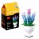 Designer "Flowers in a pot", 6 species, mix