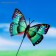 Plug for indoor plants "Butterfly" 6x7cm, 25cm, mix / packing 50pcs, price per pcs