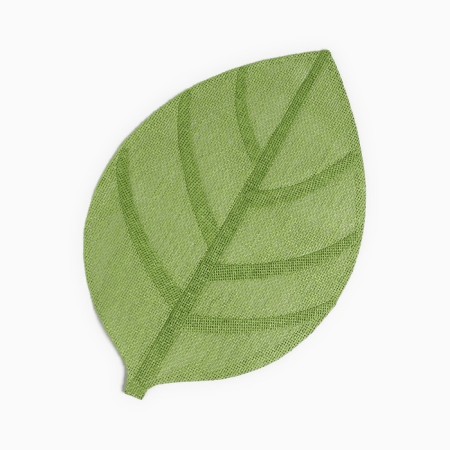Set of napkins 2 pcs. Dolyana "Leaflets", centered green, 30*45 cm-1