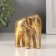 Souvenir Polystone "Abstraction. Golden Elephant" 7.2x5.2x8 cm