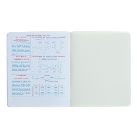 Notebook “Hints”, 48 sheets in a cage, “Biology”, coated cardboard, matte lamination, Touch varnish, Offset block-6