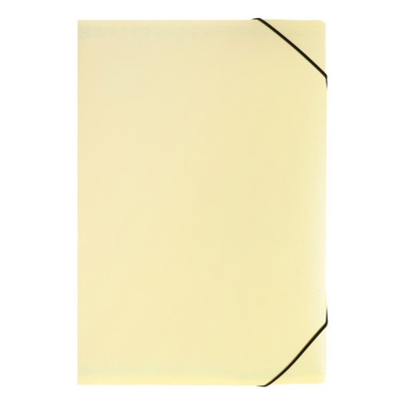 Folder Carder Calligrata watercolor 13 department. A4 plastic 0.7mm vanilla, black resident-1