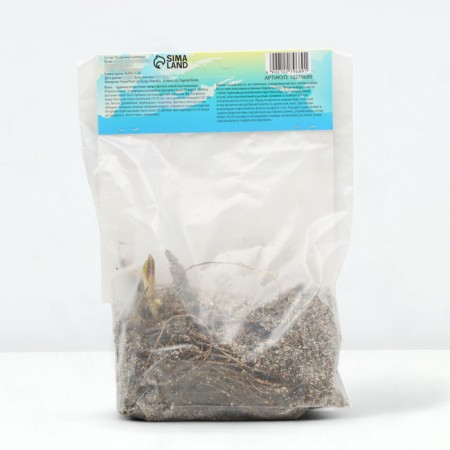 Flox "Herbstick" rr I, 2 pcs,-2