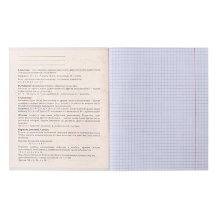 A notebook “Capybara”, 48 sheets in the “Mathematics” cage, covered cardboard, embossing flax, offset block-1