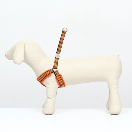 Super-furry harness with reflective firmware, size m, girth 32-63 cm, orange-1