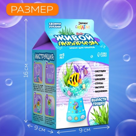 Set for experiments "Living Aquarium-Florarium", with marine inhabitants-3