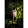 SHUNGA massage oil aphrodisia "Rose", exciting, 240 ml