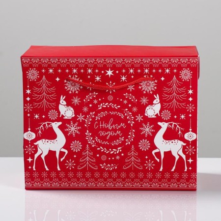 Package - “Feast Magic”, 23 x 18 x 11 cm, New Year-3