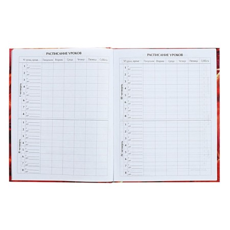 Diary for grades 5-11 anime. Man, hard cover, glossy lamination, 48 sheets-5