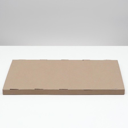 Claus for cats TM "Cogstedralka" Kraft 56x30x2.5 cm-2