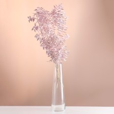 Set of dried flowers 
