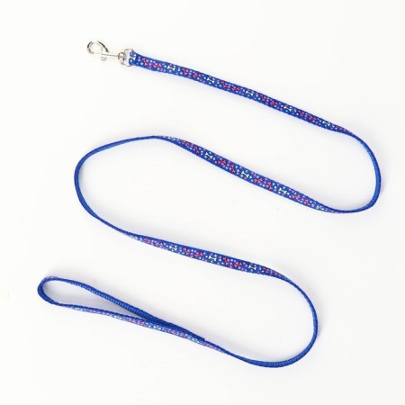 Set "Star Bones", leash 120 x 1 cm, og 23-35 cm, blue-5