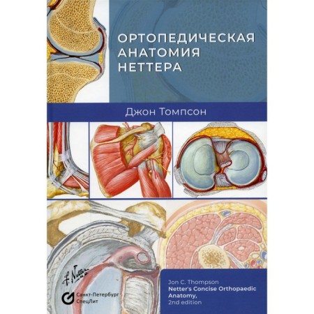 Orthopedic anatomy of Netter