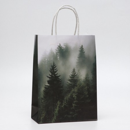 Package gift craft "Fog forest" 18 x 8 x 25 cm, 120 g/m²