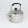 Kettle with stainless steel whistle, 5 l, chrome color