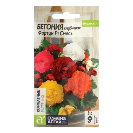 Fortun flowers "Fortun", mixture, tuber, seed. Alt, c/n, 5 pcs