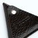 Monetnik on the button, Textura, brown color
