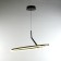 Lamp with DDD "Holly" LED 48W 3000-6000K black and gold 60x60x22 cm