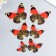 Magnet Plastic for the fabric "Double butterflies" NR 6 pcs mix h = 10; 10.5; 5; 6.7; 8.4; 6.7 cm