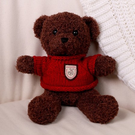 Soft toy "Bear" in the jacket, 28 cm, color mix-2