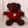 Soft toy "Bear" in the jacket, 28 cm, color mix