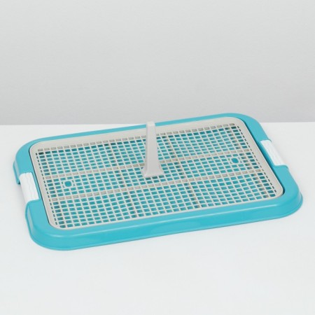 Dog toilet, 51 x 38 x 3 cm, blue-1