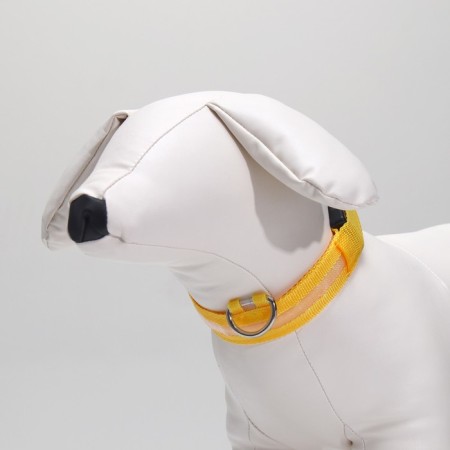 Collar with backlight size S, Osh 35-43 x 2.5 cm, 3 glow modes yellow-2
