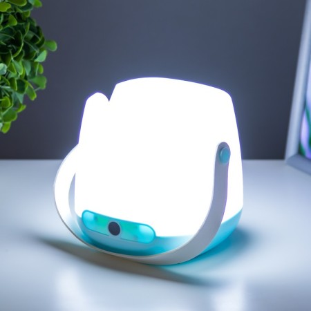 Sensory table lamp "Landa" LED 4W from batteries mix 10.5x10.5x11 cm Risalux-4